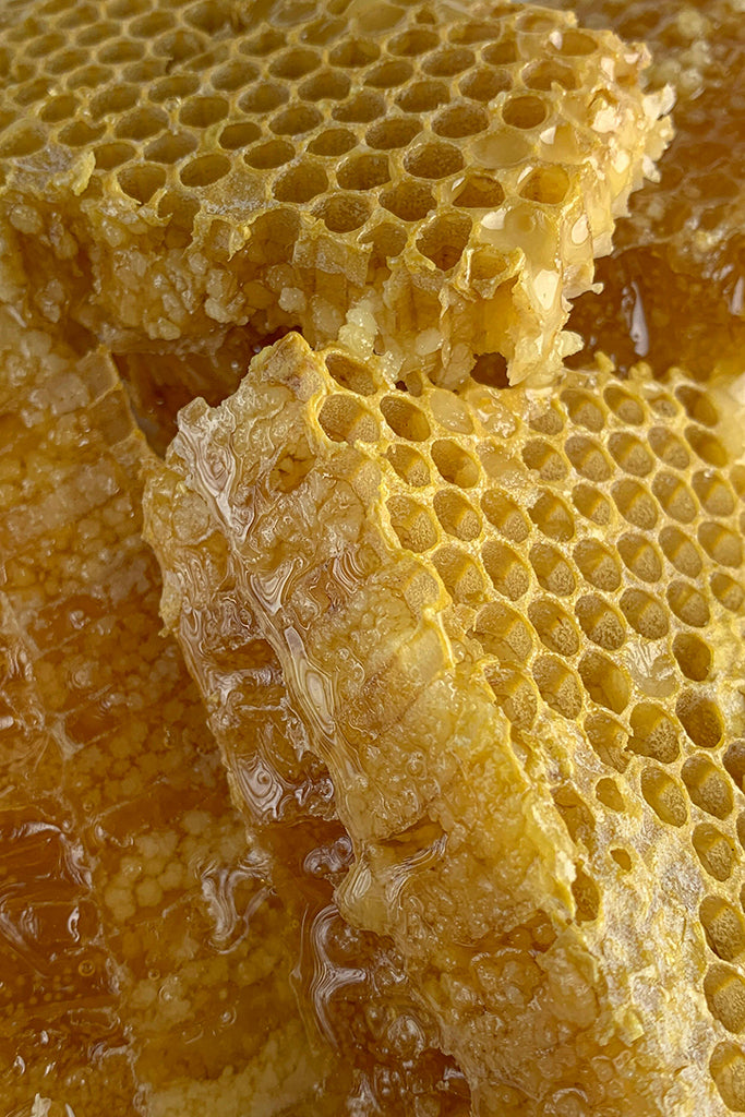 Wild, Unpasteurised, Raw Mountain Honey