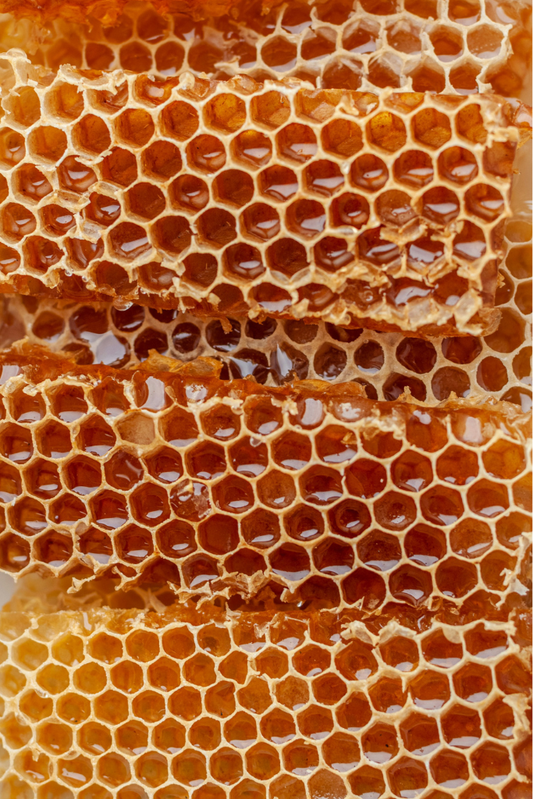 Pure Raw Mountain Honeycomb