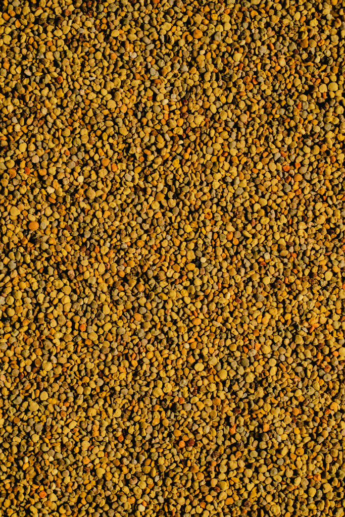 Organic Bee Pollen