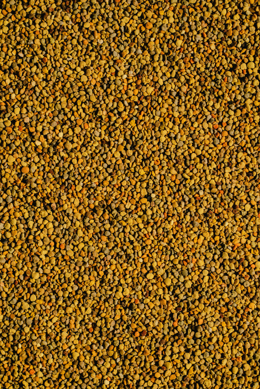 Organic Bee Pollen