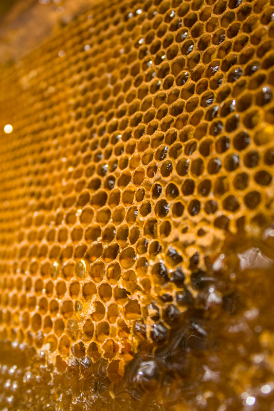 Customised Herbal Honey